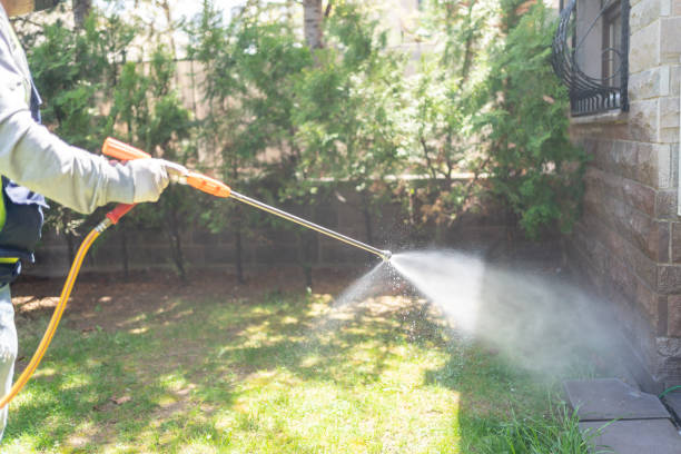 Best Best Pest Control Companies  in Fairlawn, VA