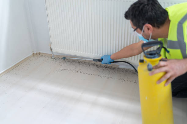 Best Cockroach Control Services  in Fairlawn, VA